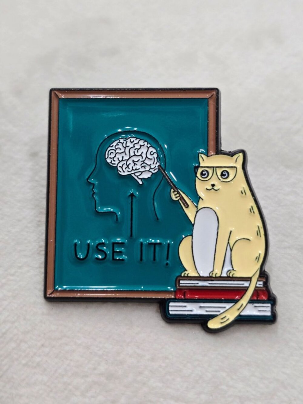 Artisan Teacher Cat Use It Brain Diagram Funny Sarcastic Enamel Pin Badge OS NWT